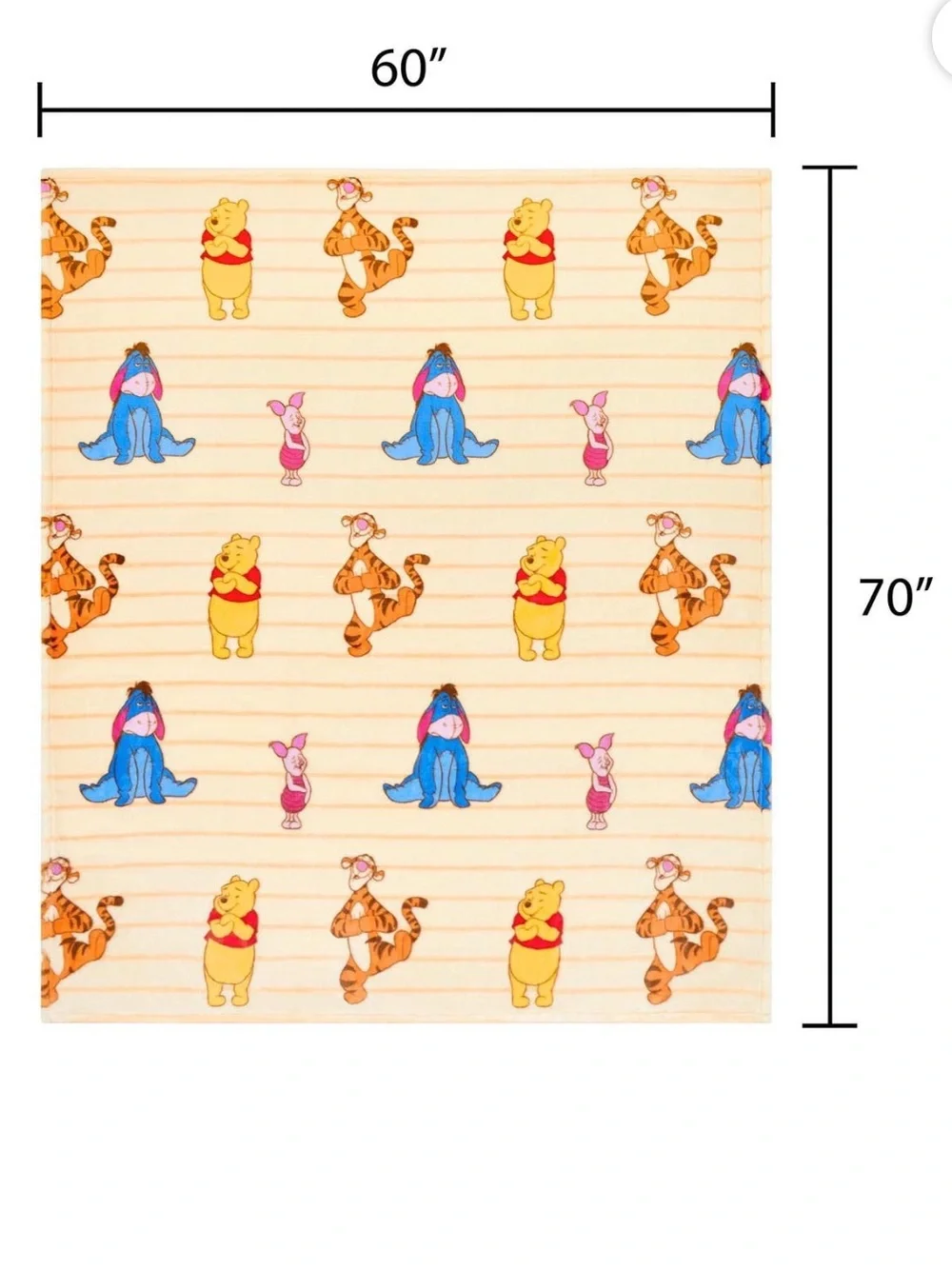 Disney Winnie the Pooh Themed Silk Touch Plush Throw Blanket w/ Character Prints